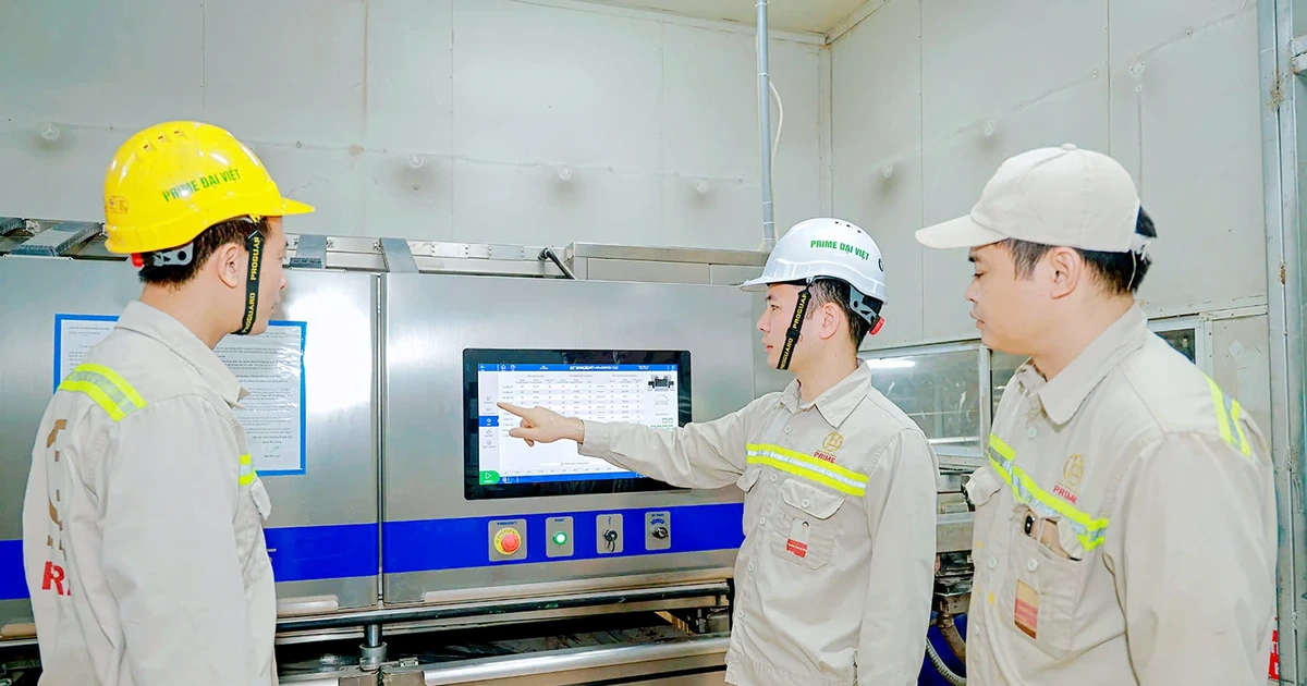Prime Đại Việt - Doanh nghiệp vì người lao động