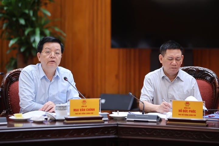 Các Phó Thủ tướng Mai Văn Chính và Hồ Đức Phớc tham dự cuộc họp. (Ảnh: VGP/Nhật Bắc)