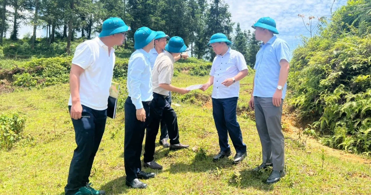 Lào Cai kiểm tra, rà soát xây dựng trường nội trú tại biên giới