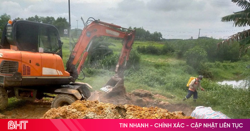 Tiêu hủy 74 con lợn do mắc dịch tả lợn châu Phi