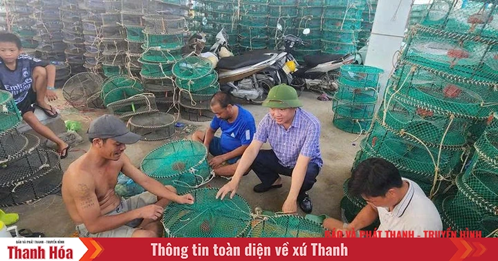 Ngoc Son aprovecha el potencial y las ventajas para abrirse paso