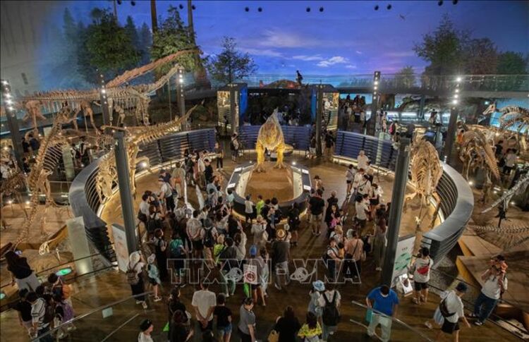 Hành trình về kỷ Jura ở Nhật Bản