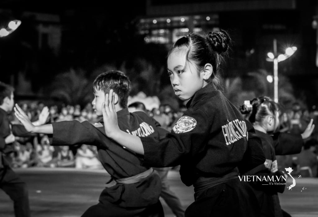 Tinh hoa võ Việt