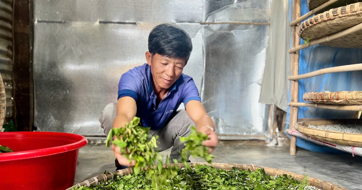 Nghề giúp nhiều hộ dân Lâm Đồng thoát nghèo bền vững