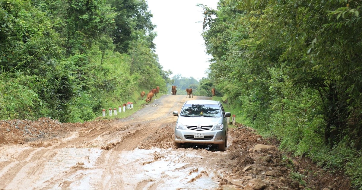 Gần 23 tỷ đồng sửa chữa 7,4km Quốc lộ 14C qua Lâm Đồng