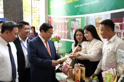 'Đòn bẩy' PCI - Giải pháp thu hút đầu tư và phát triển kinh tế