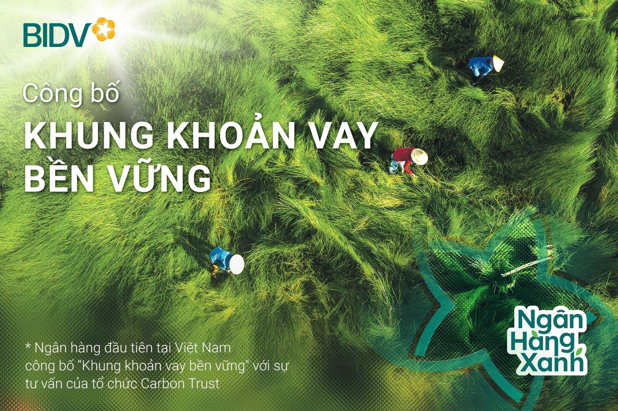 BID tiếp tục lọt Top 20 cổ phiếu phát triển bền vững nhất Việt Nam