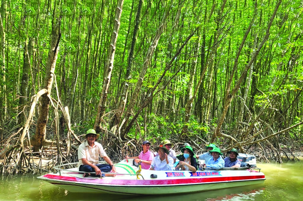 Cơ hội mới để du lịch Cà Mau cất cánh - Ảnh 4.