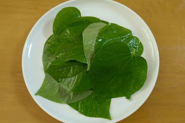 Loại lá cực nhiều ở nước ta là thuốc ‘đại bổ’, thêm vào khi nướng thịt càng thêm vị hấp dẫn đặc biệt, ai cũng mê - Ảnh 3.