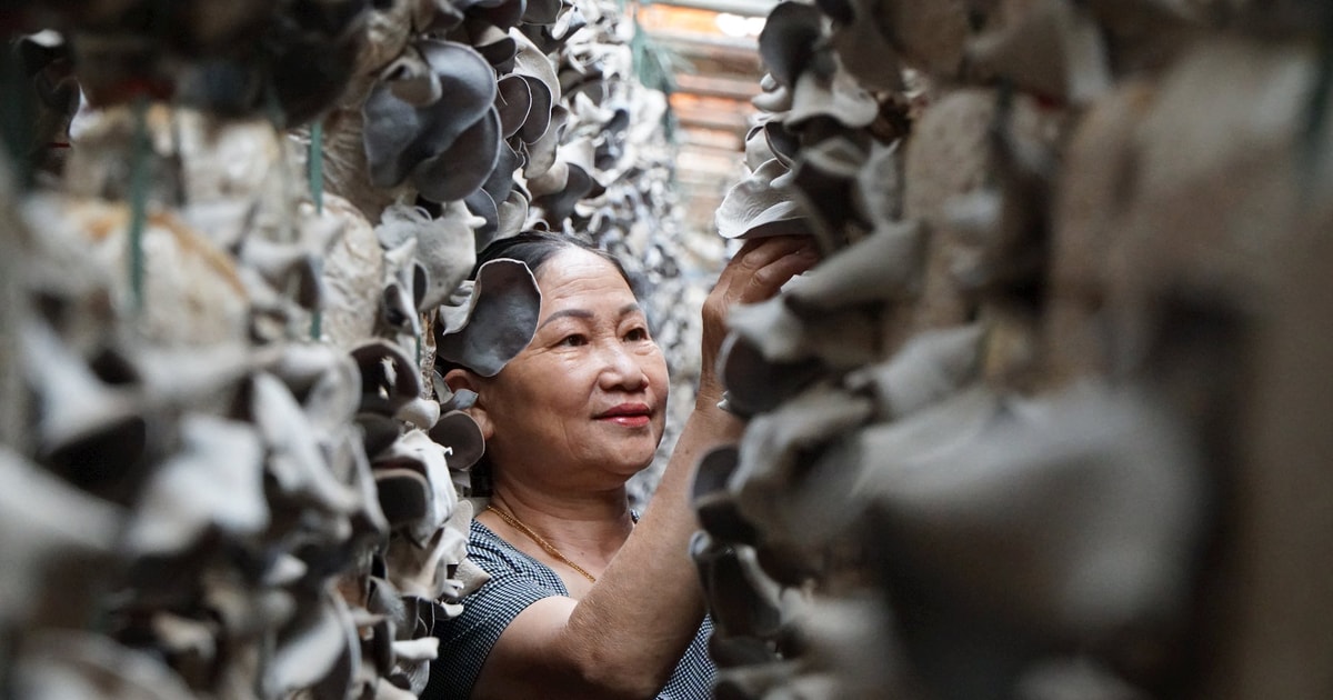 Linking agriculture, industry and trade in Duc Trong