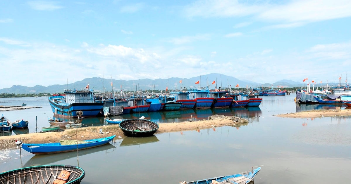 Khẩn trương hoàn thành chuỗi liên hoàn hậu cần nghề cá