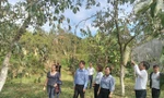 Đồng bào các dân tộc Lạng Sơn được vay vốn ưu đãi phát triển sản xuất. 