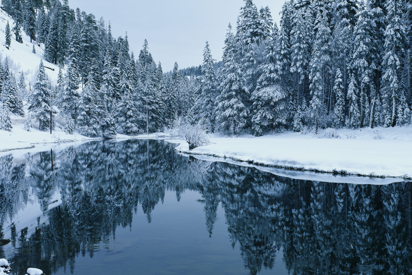 カリフォルニア 雪