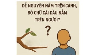តើ​ពាក្យ​វៀតណាម​មួយ​ណា​ដែល​ទុក​នៅ​លើ​មែក អក្សរ​ទីមួយ​ទុក​លើ​មនុស្ស?