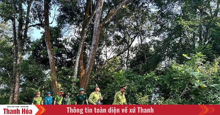 Tuyên truyền, phổ biến pháp luật bảo vệ rừng đến người dân