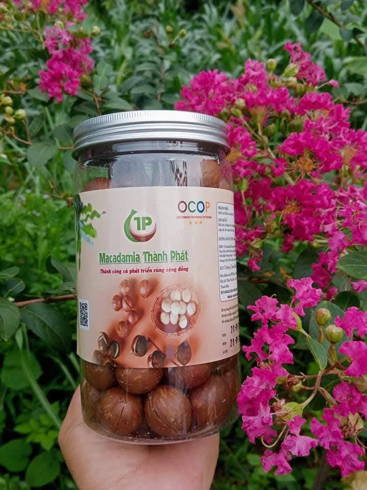 Cây mắc-ca mở hướng phát triển kinh tế mới cho phụ nữ vùng dân tộc thiểu số xứ Thanh- Ảnh 5.