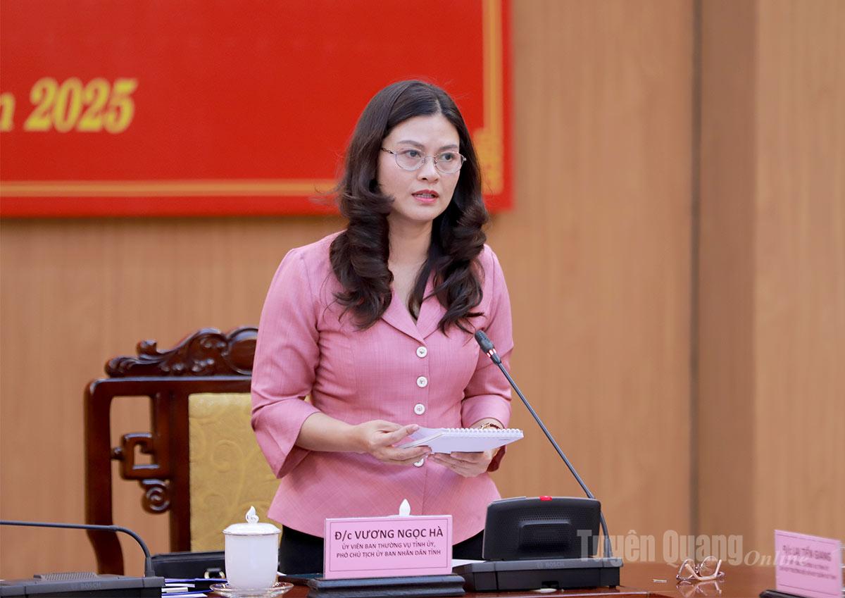 Phó Chủ tịch UBND tỉnh Vương Ngọc Hà phát biểu thảo luận tại phiên họp.