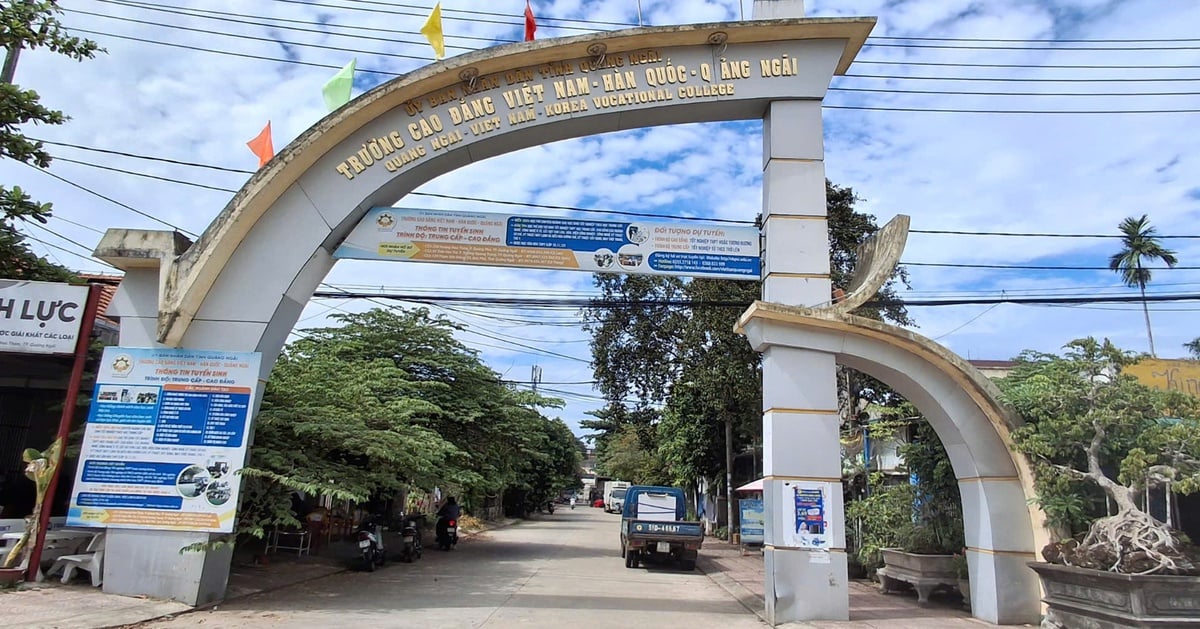 Giảng viên bị trường nợ tiền dạy cả chục năm, chủ tịch Quảng Ngãi yêu cầu giải quyết