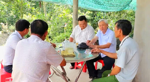 Gương sáng cựu chiến binh chung sức xây dựng quê hương