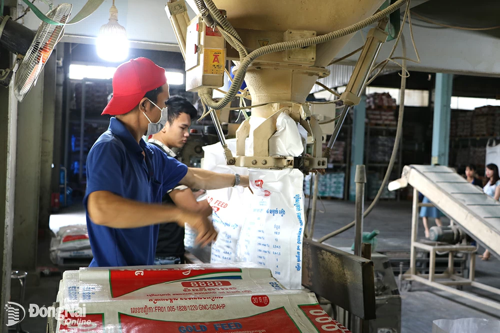 Dong Nai: Animal feed production output reaches 5 million tons/year
