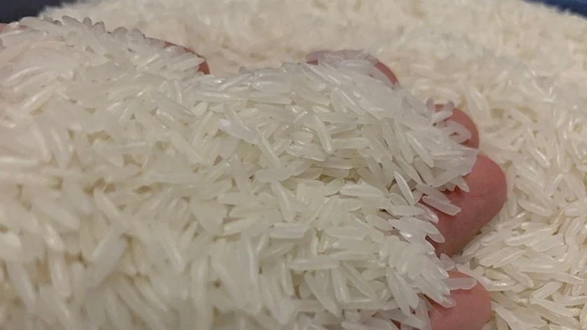 Rice prices drop sharply, Vietnamese businesses spend 1 billion USD to import