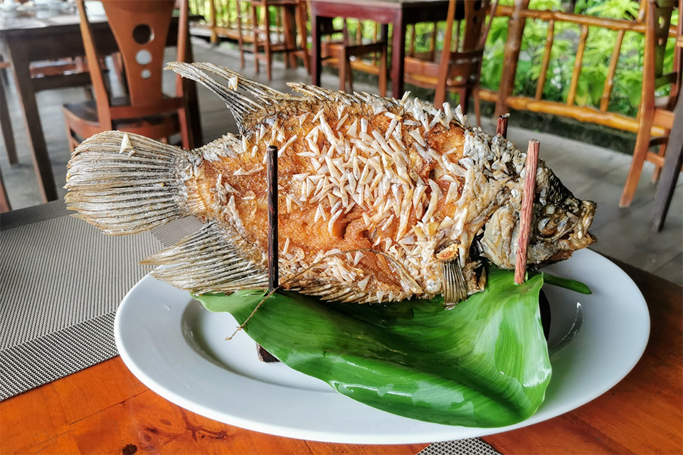 Vinh Long Cuisine - Rich, simple yet unforgettable garden flavors
