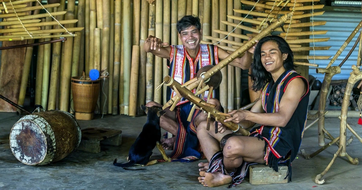 ការនាំចេញវប្បធម៌ពីអត្តសញ្ញាណព្រៃឈើដ៏អស្ចារ្យ