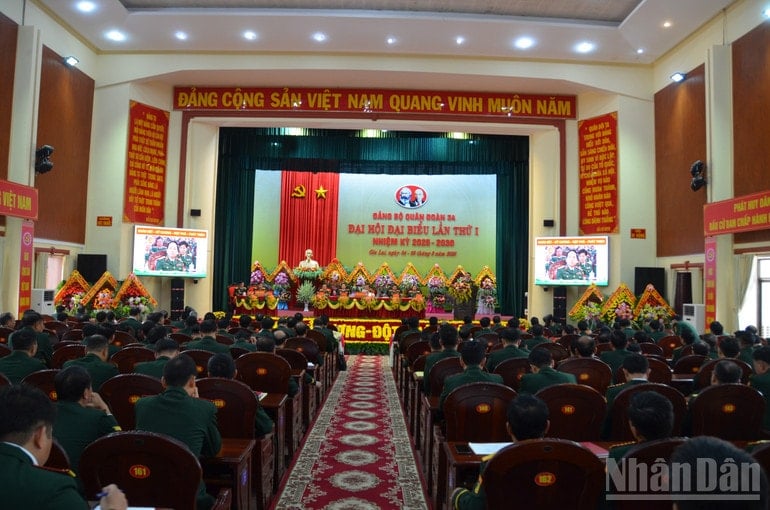 ndo_br_dsc-0102.jpg