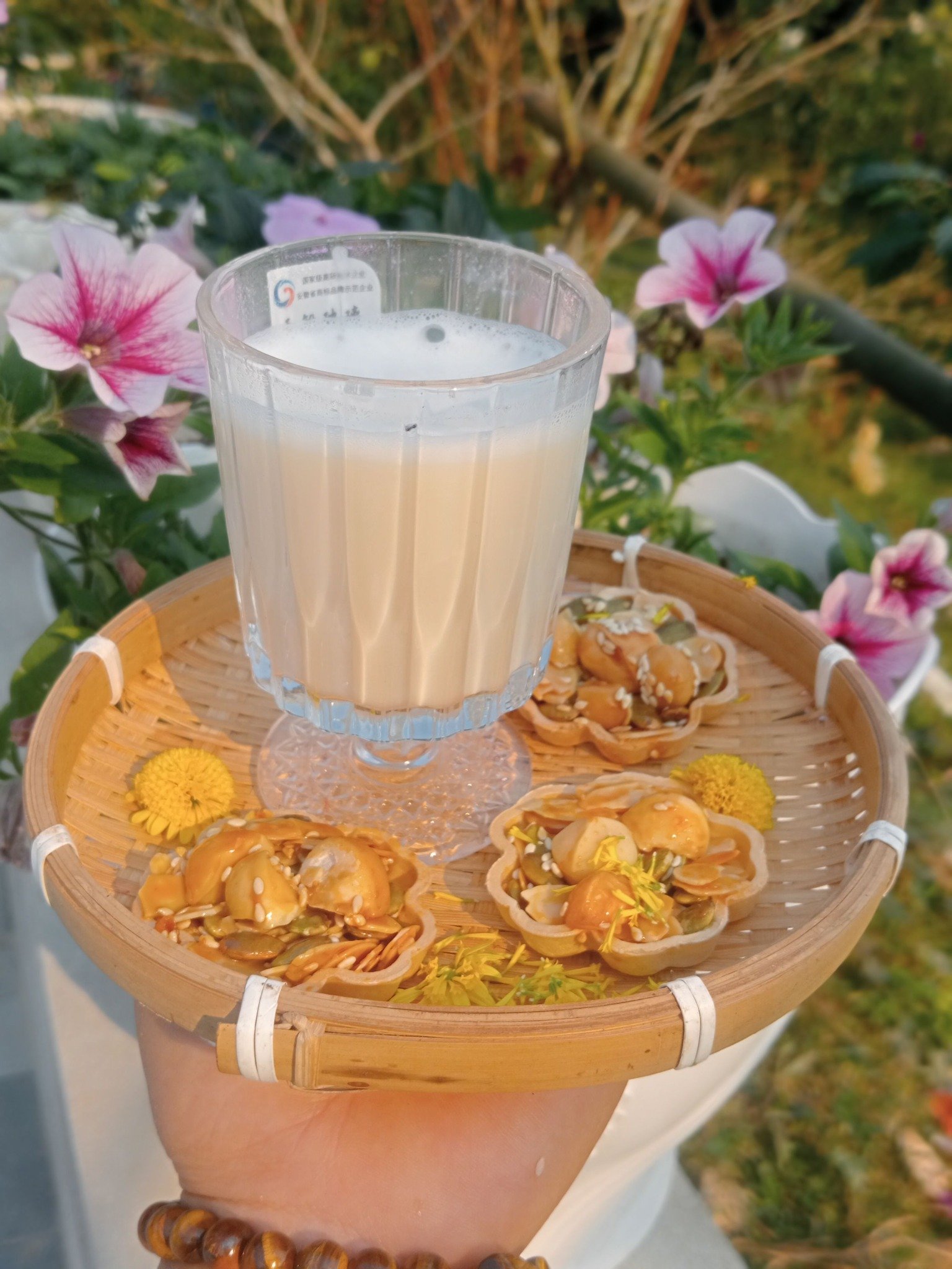 Cây mắc-ca mở hướng phát triển kinh tế mới cho phụ nữ vùng dân tộc thiểu số xứ Thanh- Ảnh 4.