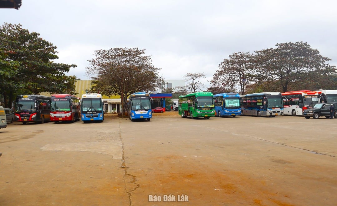 Means of transport at Buon Ma Thuot Northern Bus Station.