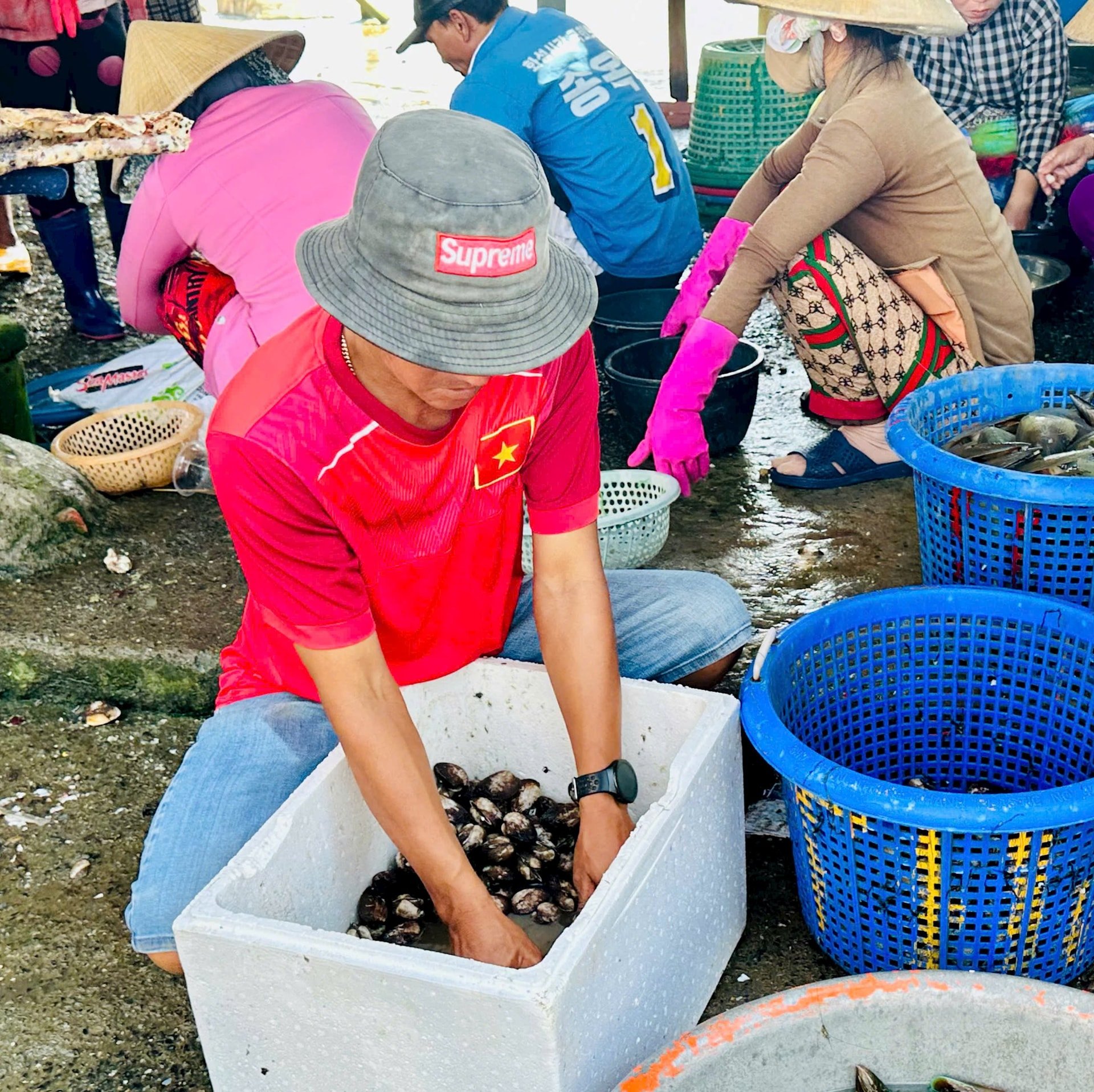 Sò lông được bán sỉ và lẻ ngay tại chỗ