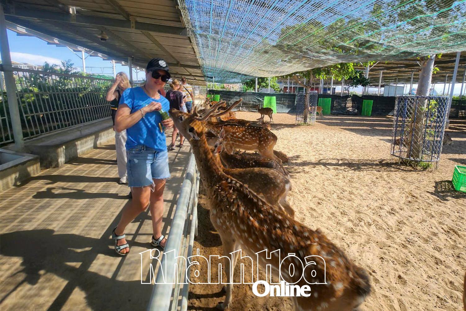 Visitors to the zoo at Tien Tien Farm - Zoo.