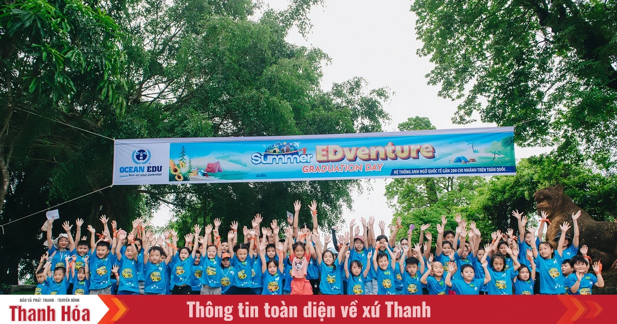 Mùa hè trưởng thành cùng Ocean Edu: Hành trình học tập, khám phá và lớn khôn mỗi ngày