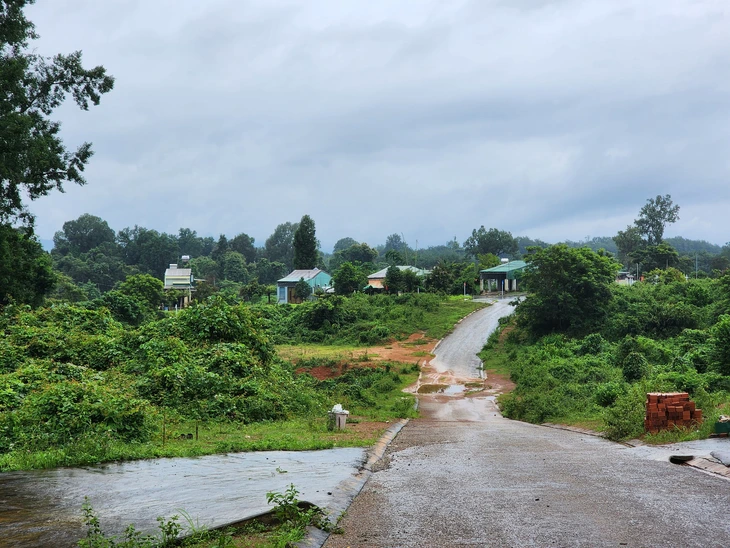 trường học - Ảnh 2.