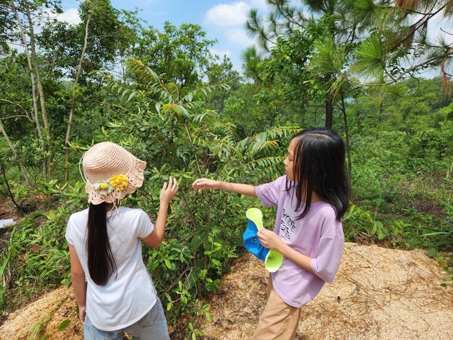 Nhiều cách hay cho trẻ chuẩn bị khép lại mùa hè, đón năm học mới - Ảnh 1.