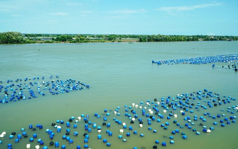 ヴィンロン省は沿岸地域でハイテク水産養殖産業を発展させることを目指している。