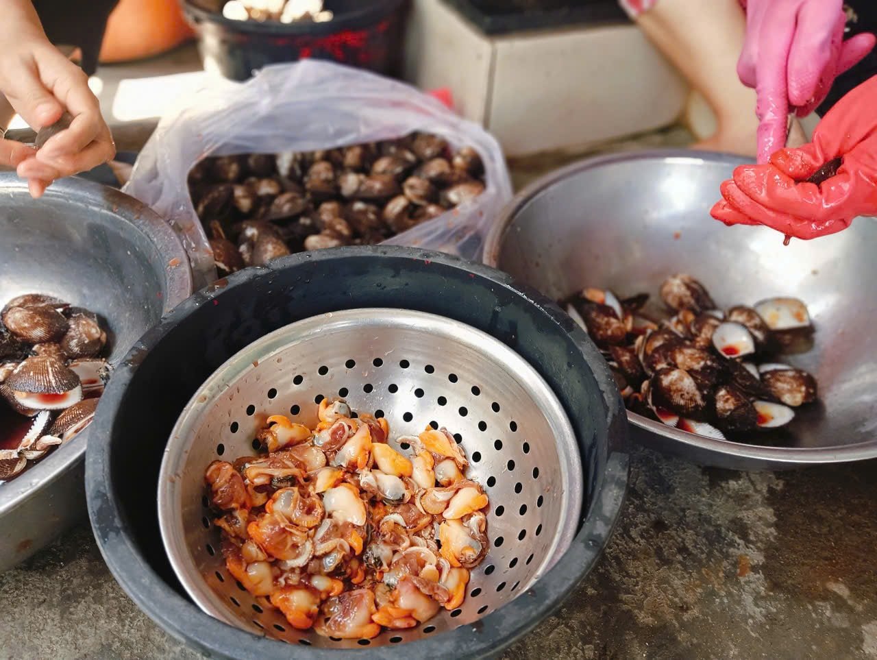 Sò lông được bán với giá từ 30.000 - 50.000 đồng:kg tuỳ kích cỡ