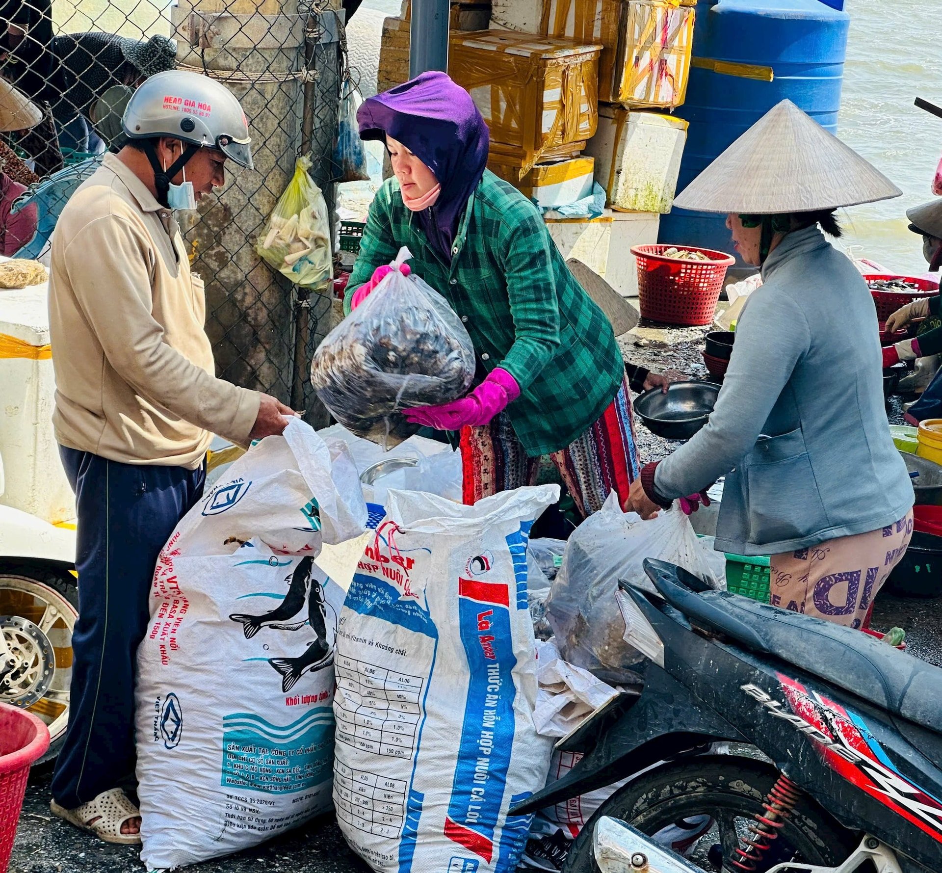 Đóng hàng đi tiêu thụ