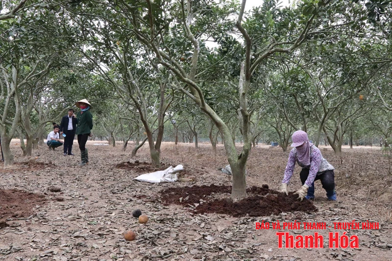 การคิดสร้างสรรค์ ความปรารถนาที่จะก้าวขึ้น การกระทำที่เด็ดขาดเพื่อสร้างสังคมชนบทใหม่ที่ก้าวหน้า