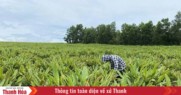 Lấy tiêu chí thu nhập làm “đòn bẩy” XDNTM nâng cao