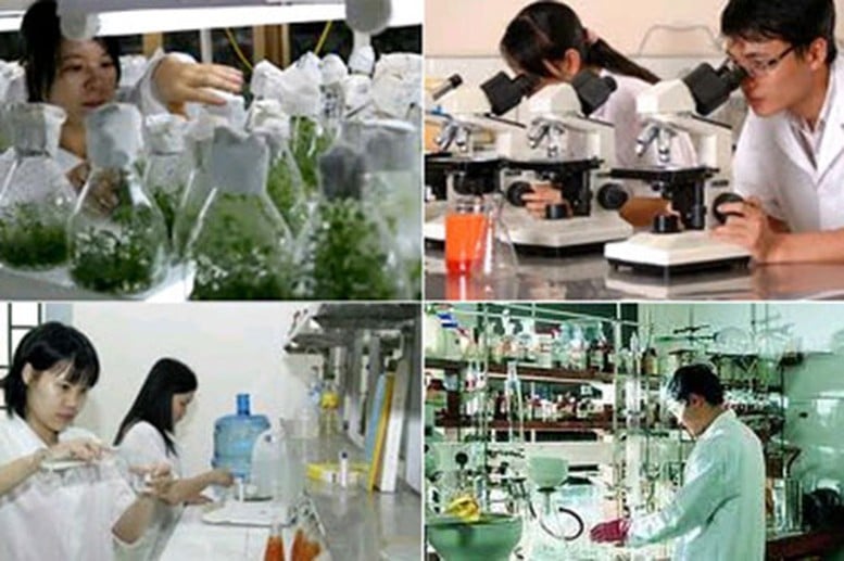 Tăng cường thực hiện các chính sách ưu đãi, hỗ trợ cho doanh nghiệp khoa học và công nghệ- Ảnh 1.