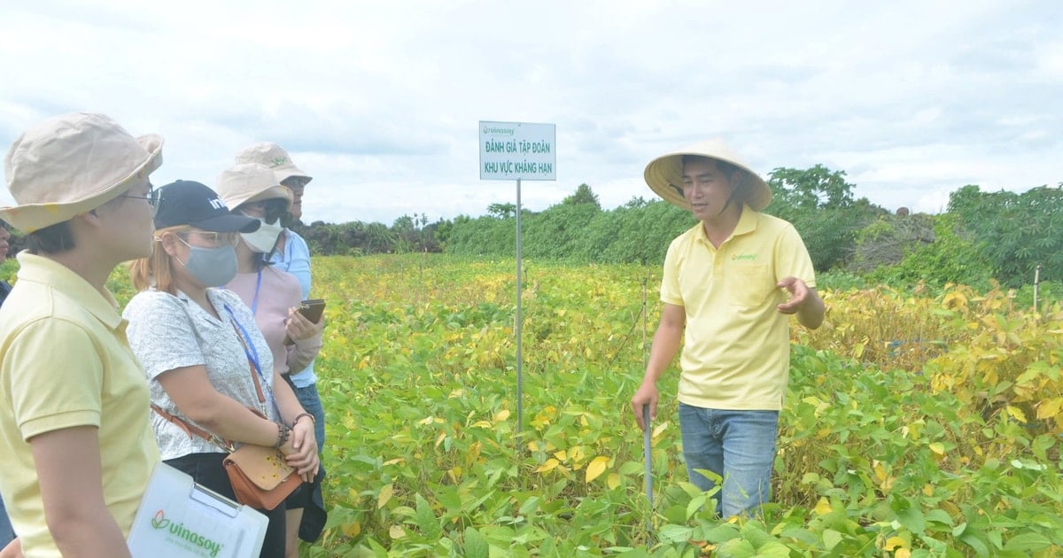Nông nghiệp tích hợp bảo vệ môi trường