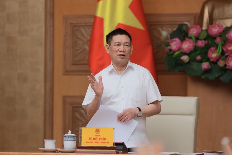 Phó Thủ tướng Hồ Đức Phớc: Tập trung quản lý, điều hành giá hiệu quả để thúc đẩy tăng trưởng- Ảnh 3.