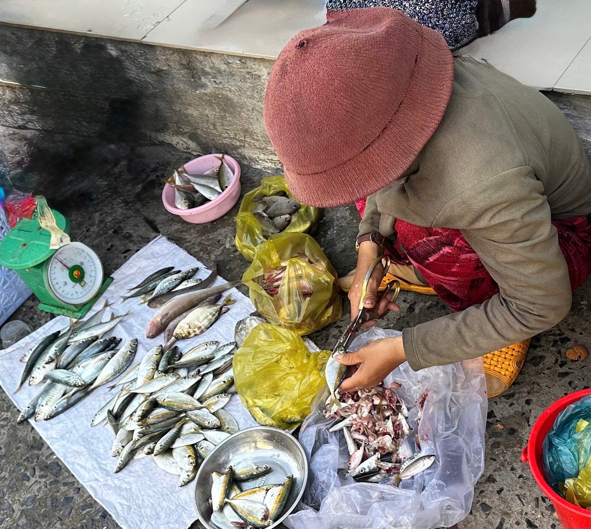 Cá tươi được bày bán tại chỗ