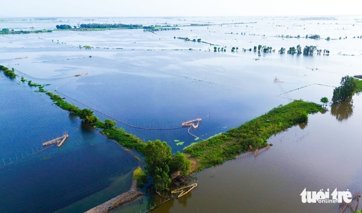 mùa nước nổi - Ảnh 8.