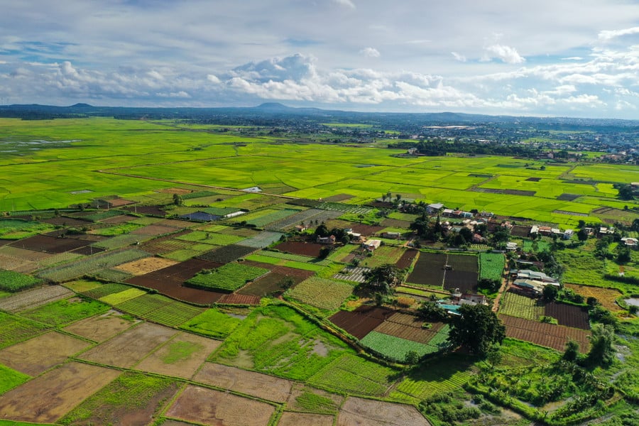 dji-0112.jpg