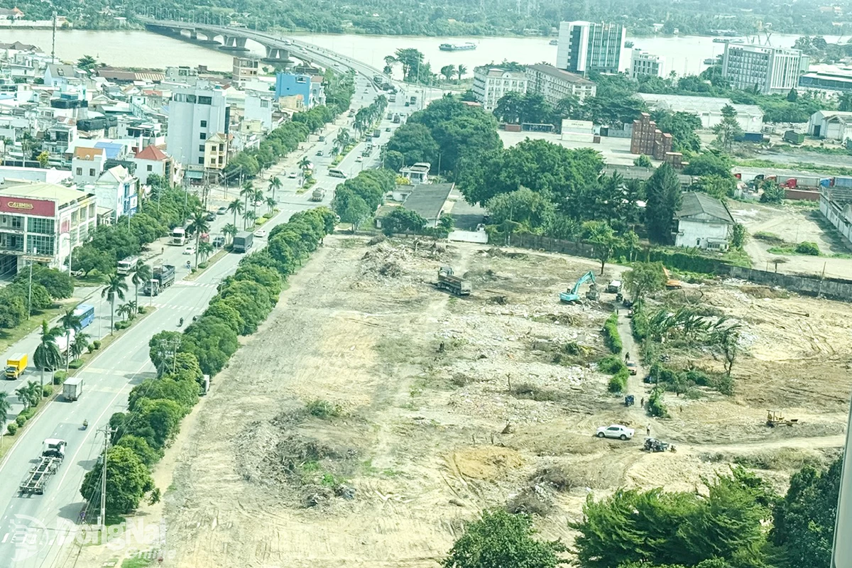 Khu đất 50ha tại Khu công nghiệp Biên Hòa 1 có kế hoạch đấu giá đất năm 2025. Ảnh: Ban Mai