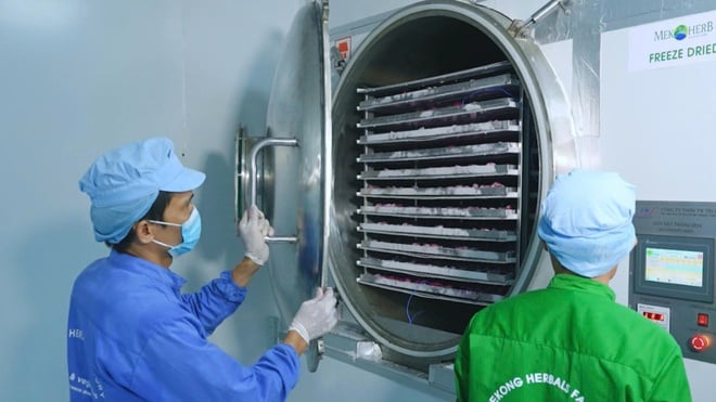 Nông sản Việt quyết tâm vượt qua rào cản để khẳng định vị trí trên thị thường quốc tế - Ảnh 6.