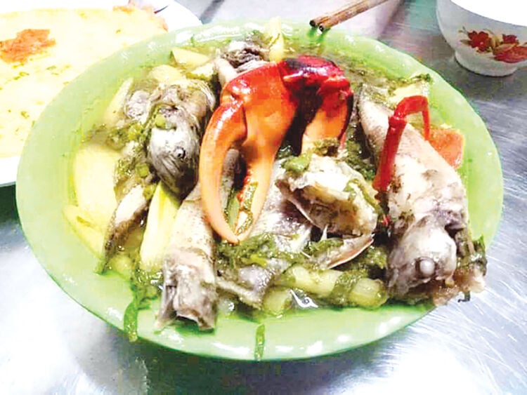 ត្រីស្ទ្រីមប្លែកៗ