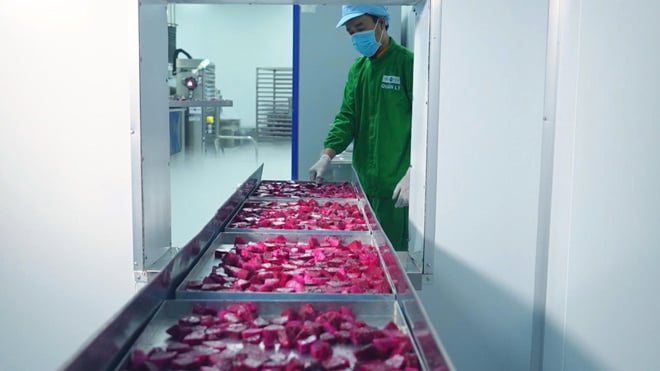 Nông sản Việt quyết tâm vượt qua rào cản để khẳng định vị trí trên thị thường quốc tế - Ảnh 4.
